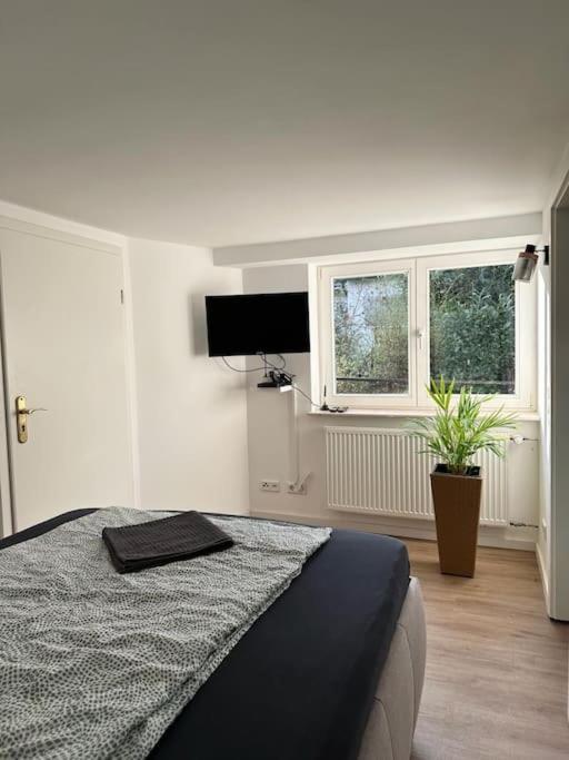 Business Apartment Naehe Bonn Koenigswinter Exterior photo
